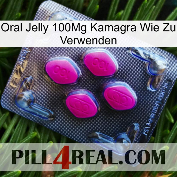 Oral Jelly 100Mg Kamagra How To Use 02